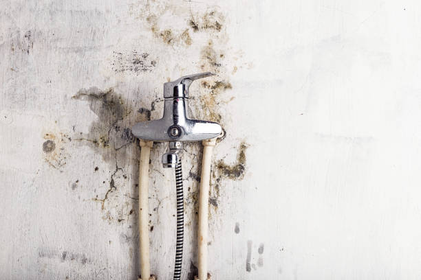 Oakville, CT Mold Removal Company