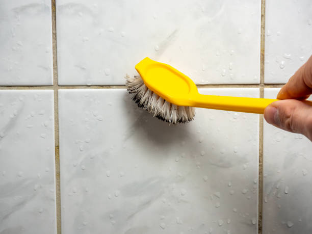 Best Mold Remediation Experts  in Oakville, CT