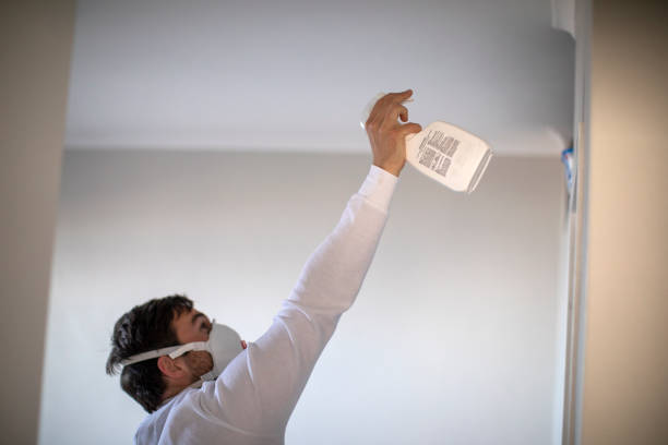 Best Affordable Mold Removal  in Oakville, CT