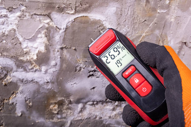 Best Mold Testing  in Oakville, CT