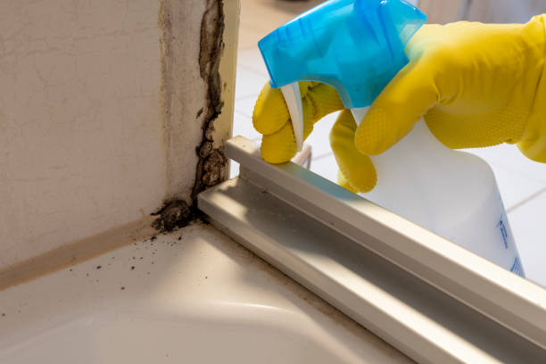 Best Emergency Mold Removal  in Oakville, CT