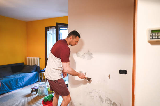 Best Water Damage Restoration  in Oakville, CT