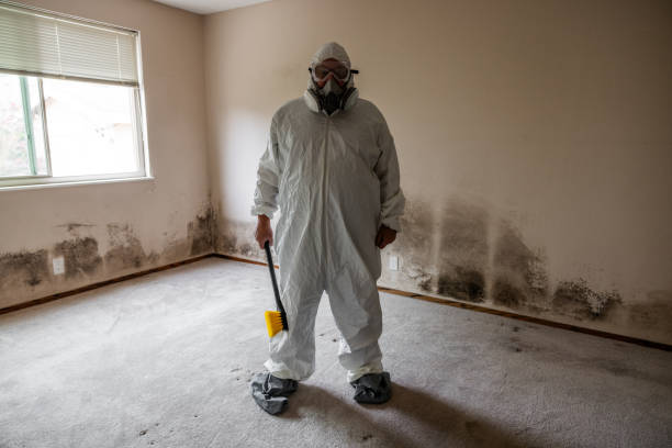 Best Certified Mold Removal  in Oakville, CT