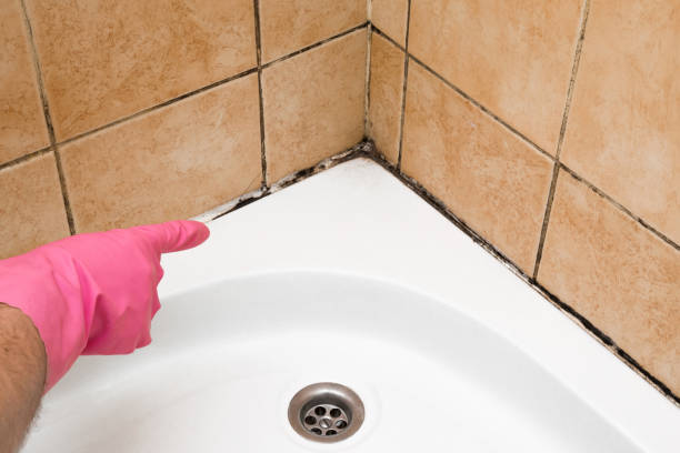 Best Mold Testing  in Oakville, CT